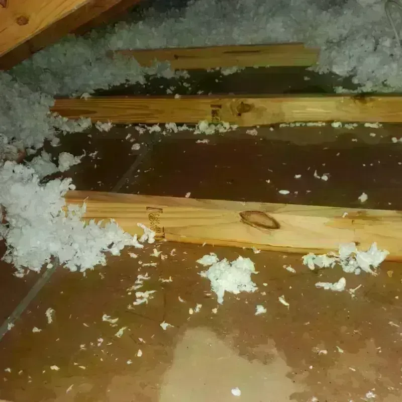 Attic Water Damage in Wichita County, KS