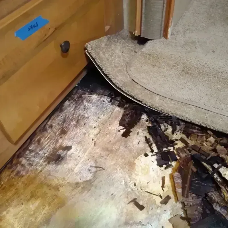 Wood Floor Water Damage in Wichita County, KS